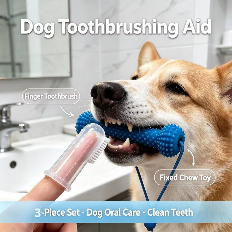 Dog Dental Chew Toy and Finger Brush Set - 10cm Blue Hands Free Chew Toy with view 2