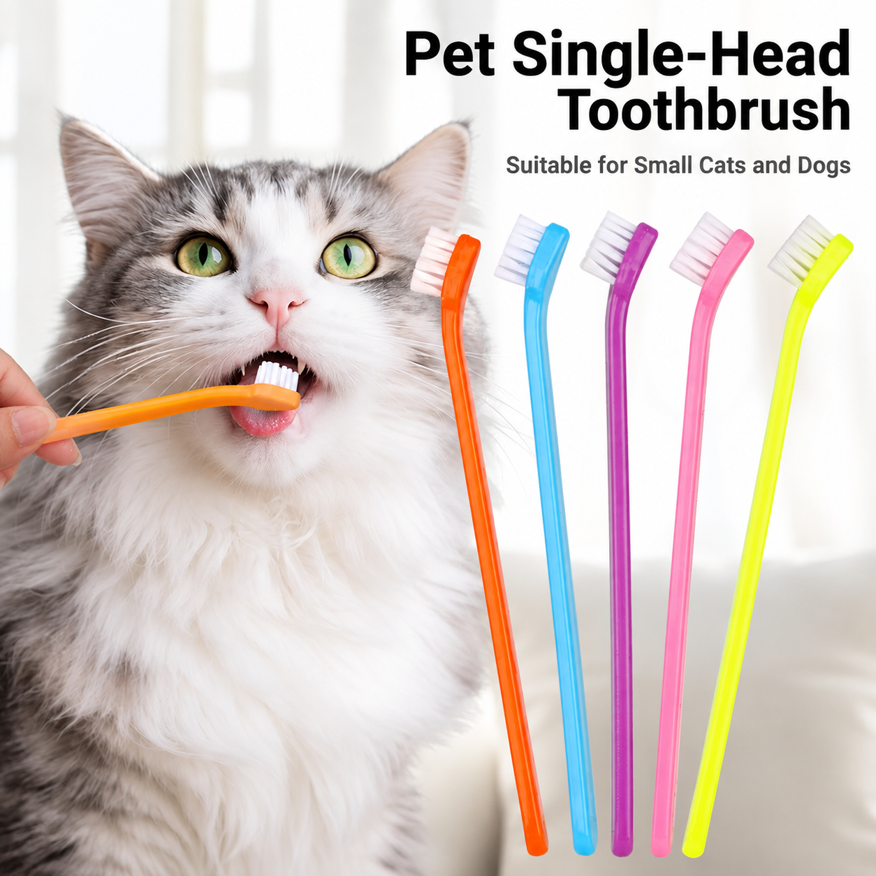 Blue Pet Toothbrush 5 Pack - PP Single Head Dental Cleaning Brush view 3