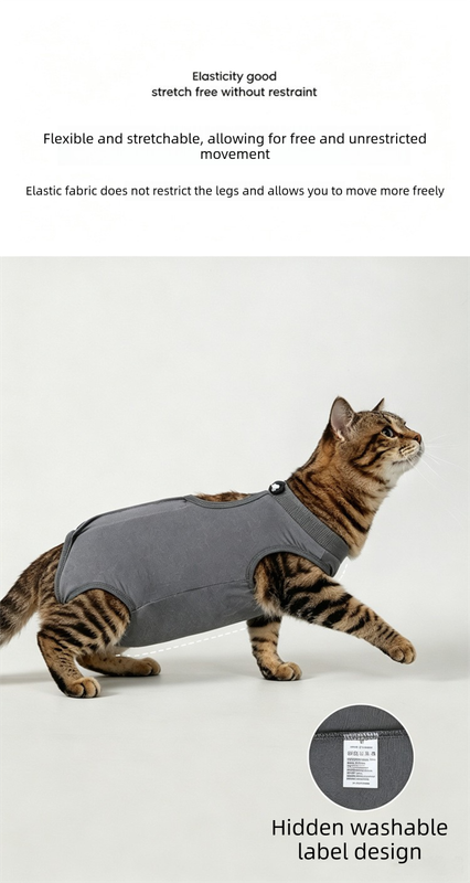 Grey Pet Recovery Suit M Size (Approx.2-4 kg) - Modal Stretch Post Surgery view 9